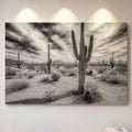 Saguaro Silence in Black and White