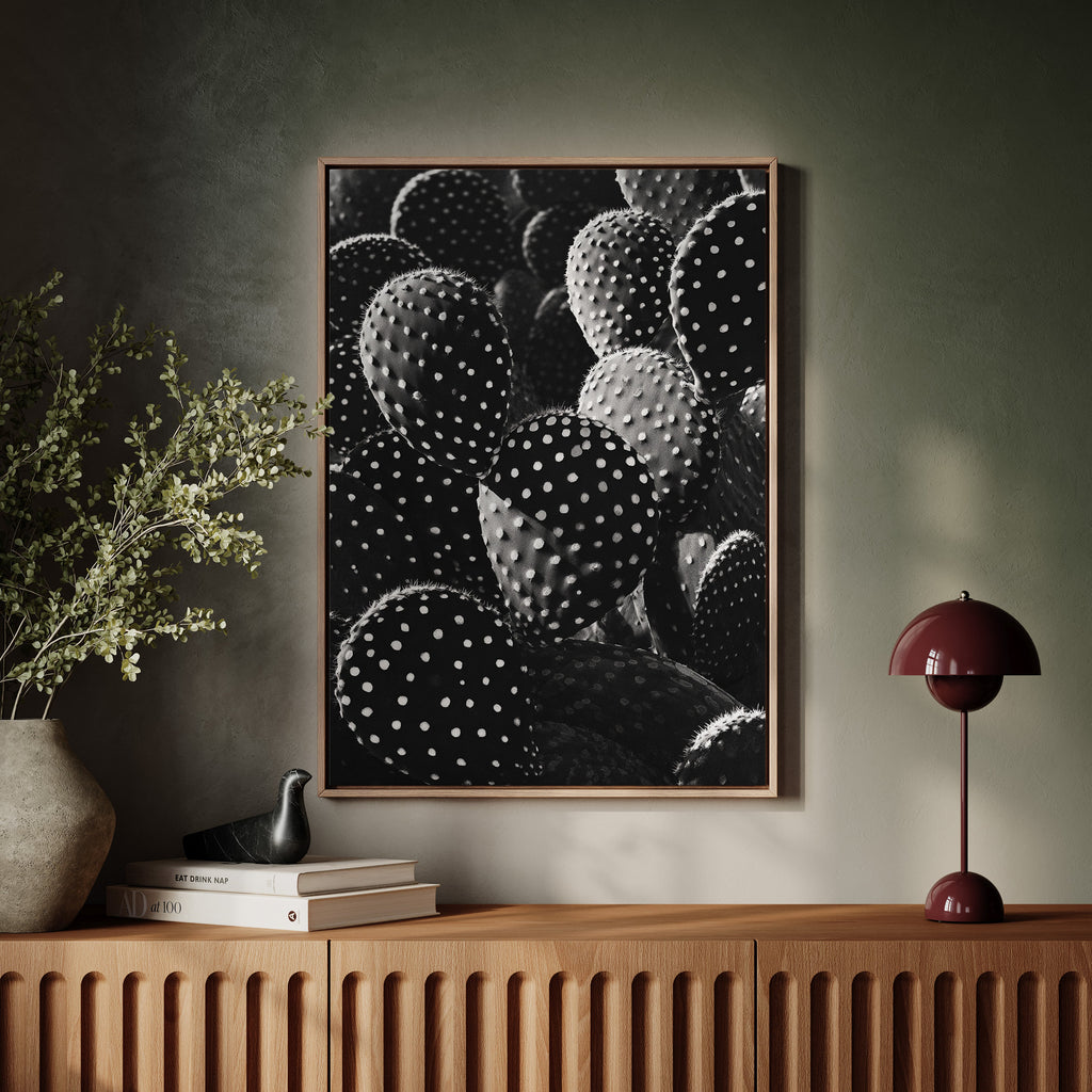 Desert Geometry in Monochrome