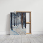 A Path Through Winter's Embrace