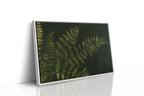 Fernlight in Deep Green