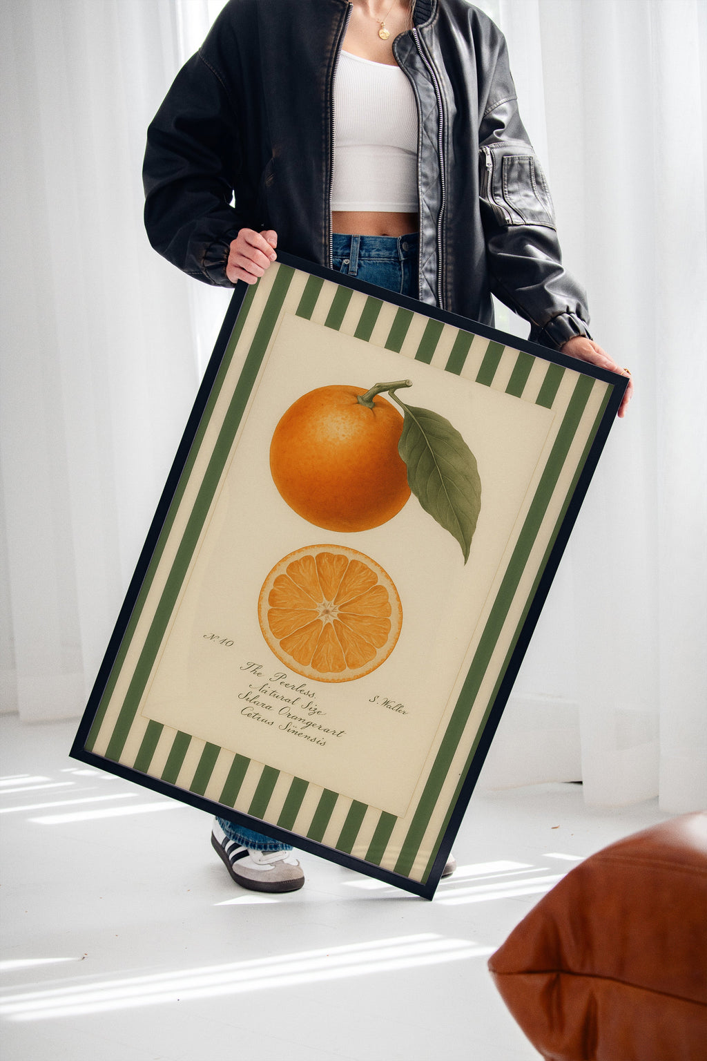 Vintage Orange Slice Botanical Study