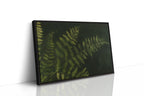 Fernlight in Deep Green