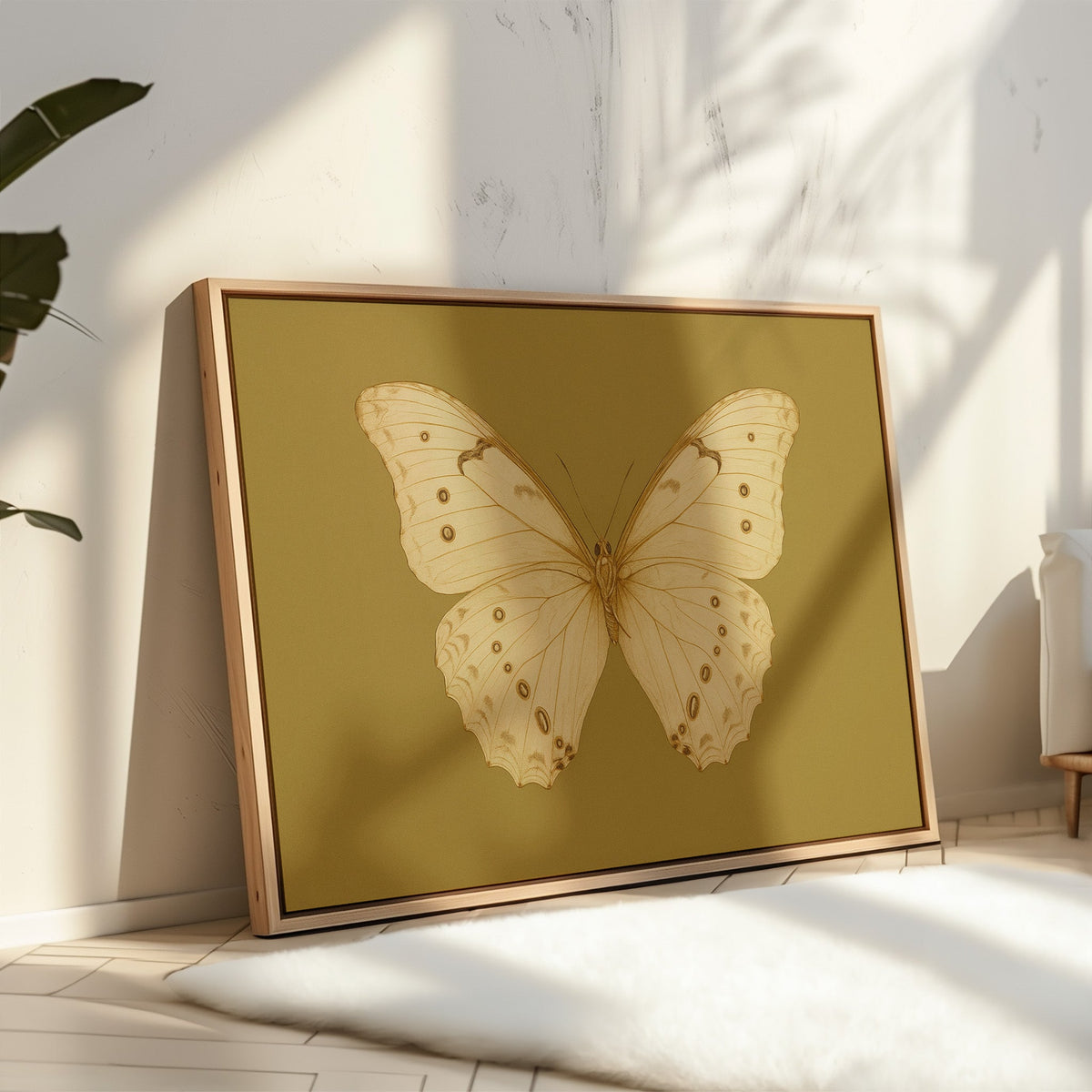 Golden Ivory Butterfly Study
