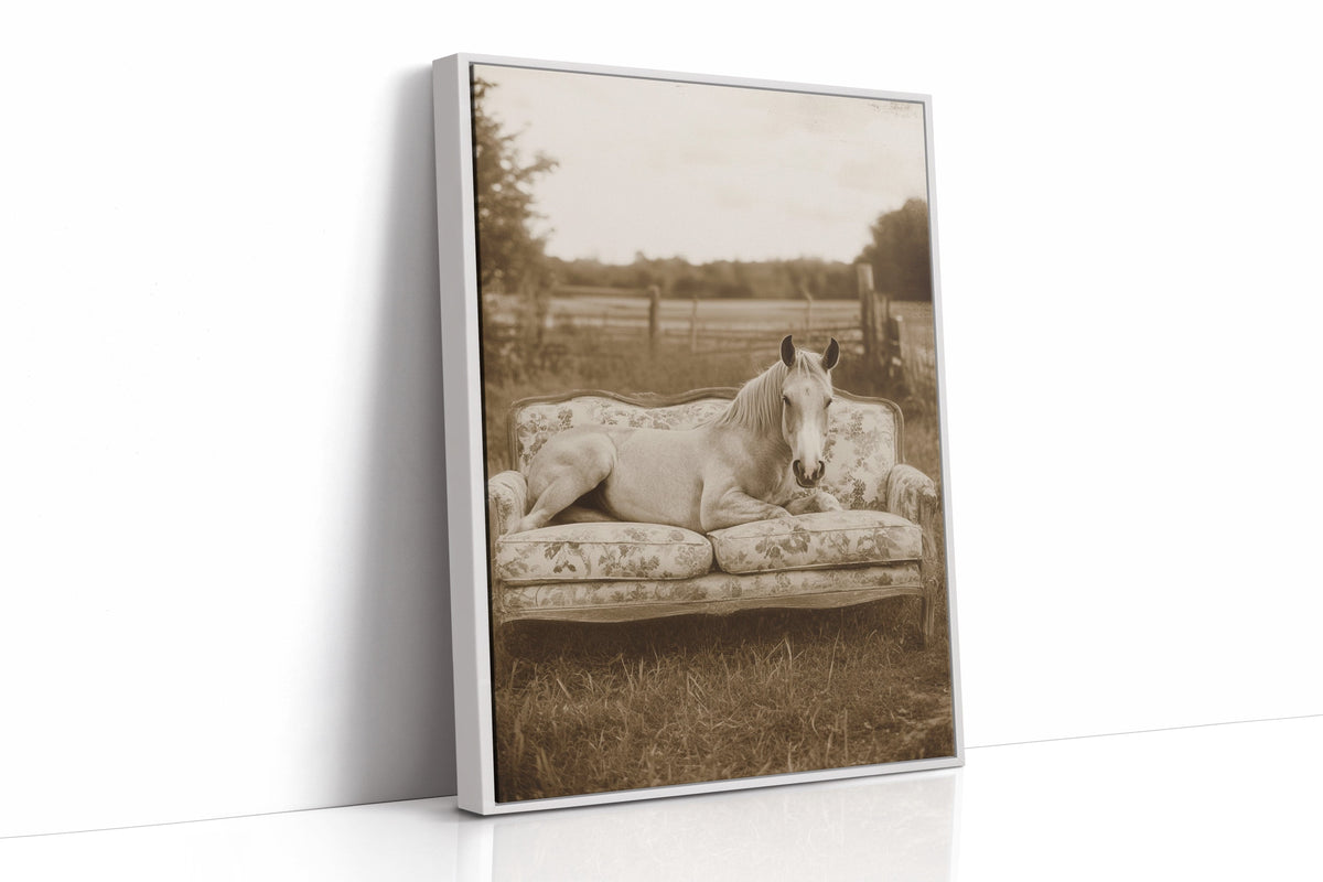 Sofa Stallion