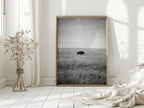 Solitary Grace