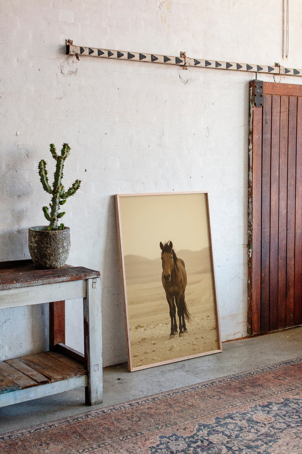 Lone Desert Mustang