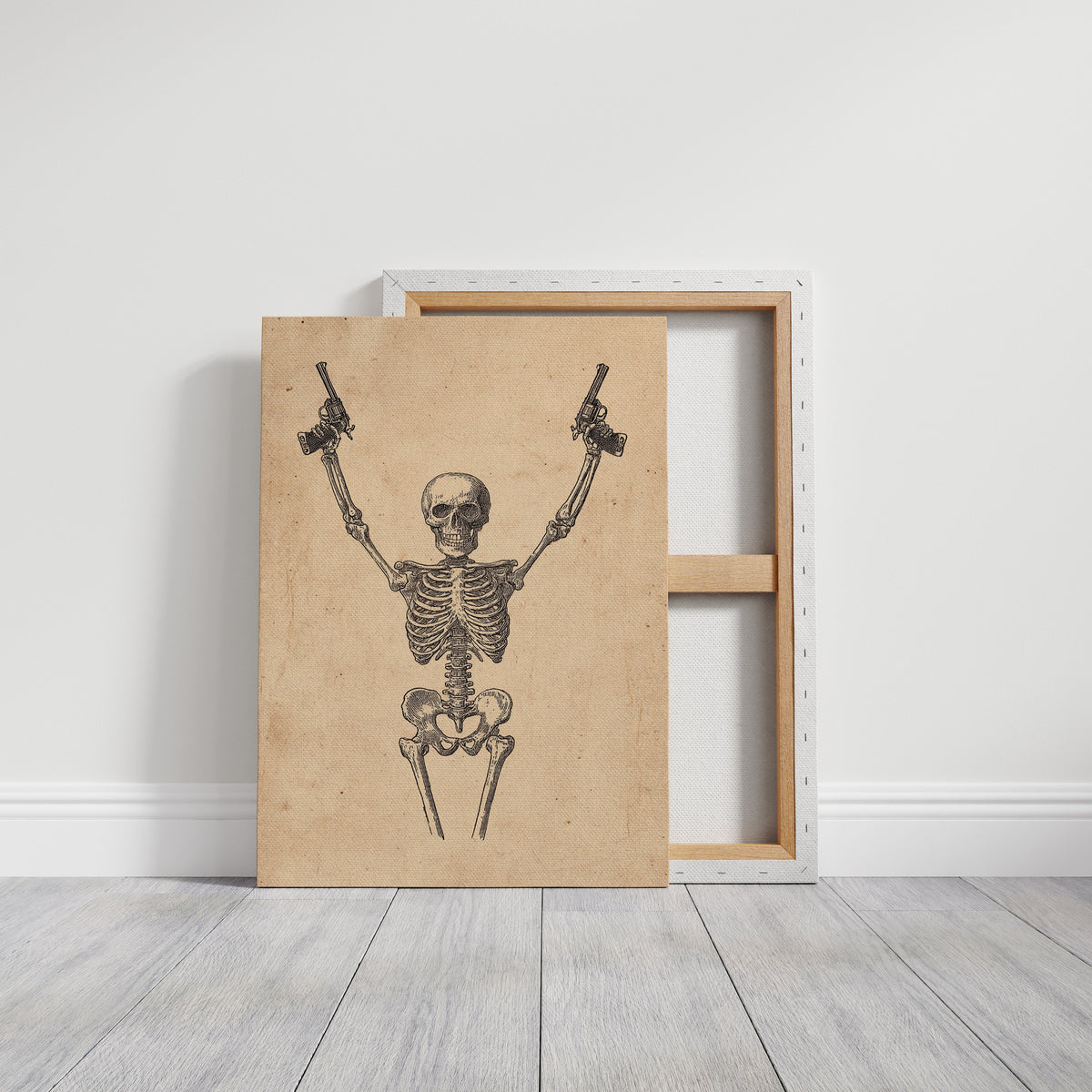 Outlaw Anatomy