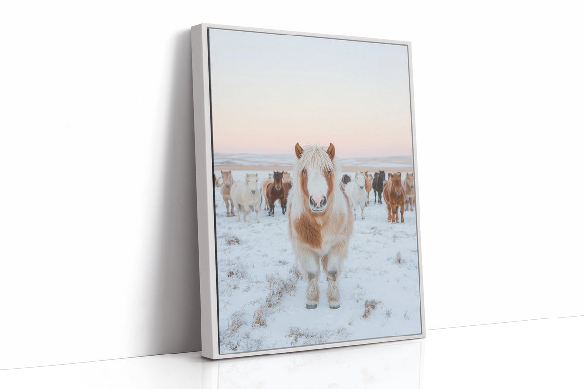 Fluffy Pony in Winter Herd