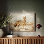 Lone Coyote in the Sun