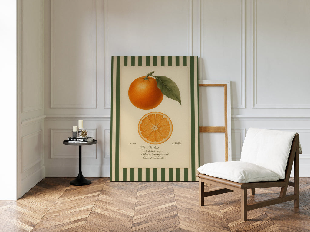 Vintage Orange Slice Botanical Study