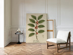 The Holly Botanical Art Print