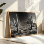 Sentinels of the Sonoran