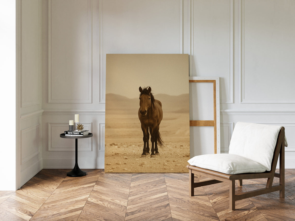 Lone Desert Mustang