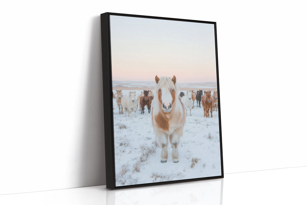 Fluffy Pony in Winter Herd