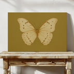 Golden Ivory Butterfly Study