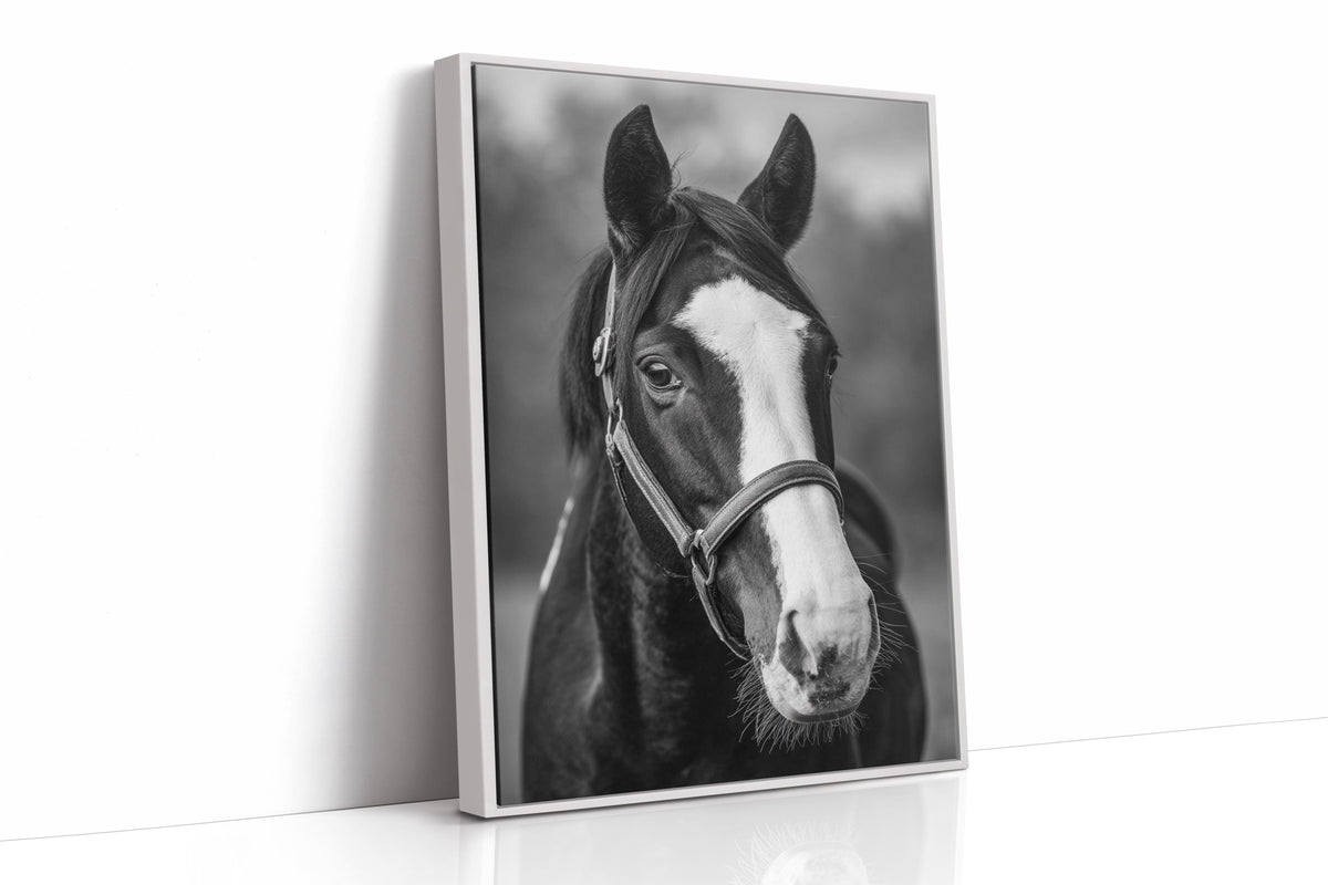 Gentle Spirit