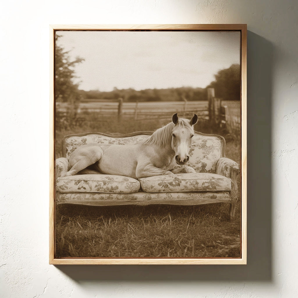 Sofa Stallion