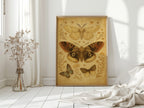 Vintage Moths and Meadow Wings