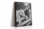 Pasture Gate Conversations