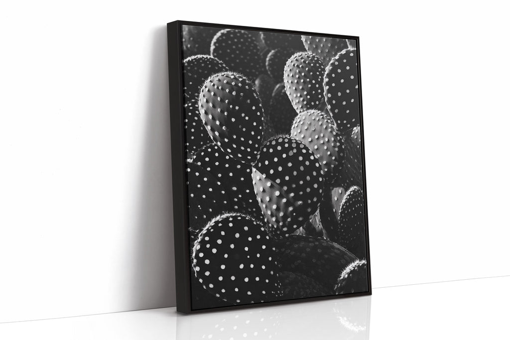 Desert Geometry in Monochrome
