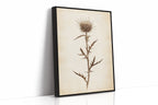 Vintage Thistle Botanical Print – Rustic Western Floral Wall Art