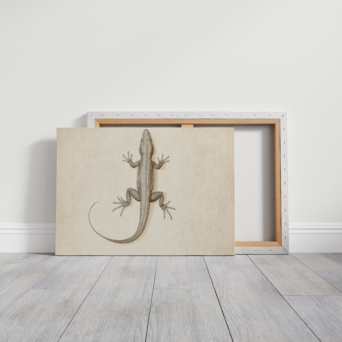 Desert Dweller – Vintage Lizard Scientific Illustration Print