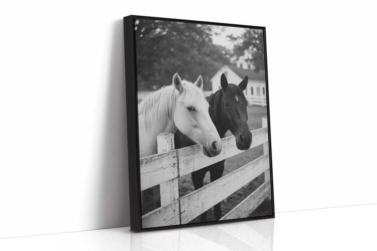 Pasture Gate Conversations