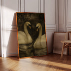 Two Swans in Quiet Reflection