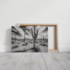 Saguaro Silence in Black and White