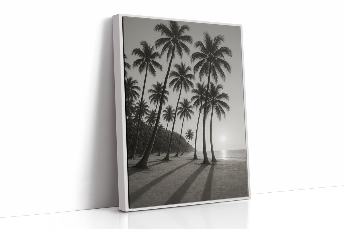 Palm Shadows at Sunrise
