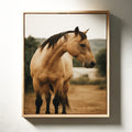 Buckskin Beauty in the Evening Light