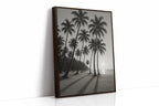 Palm Shadows at Sunrise