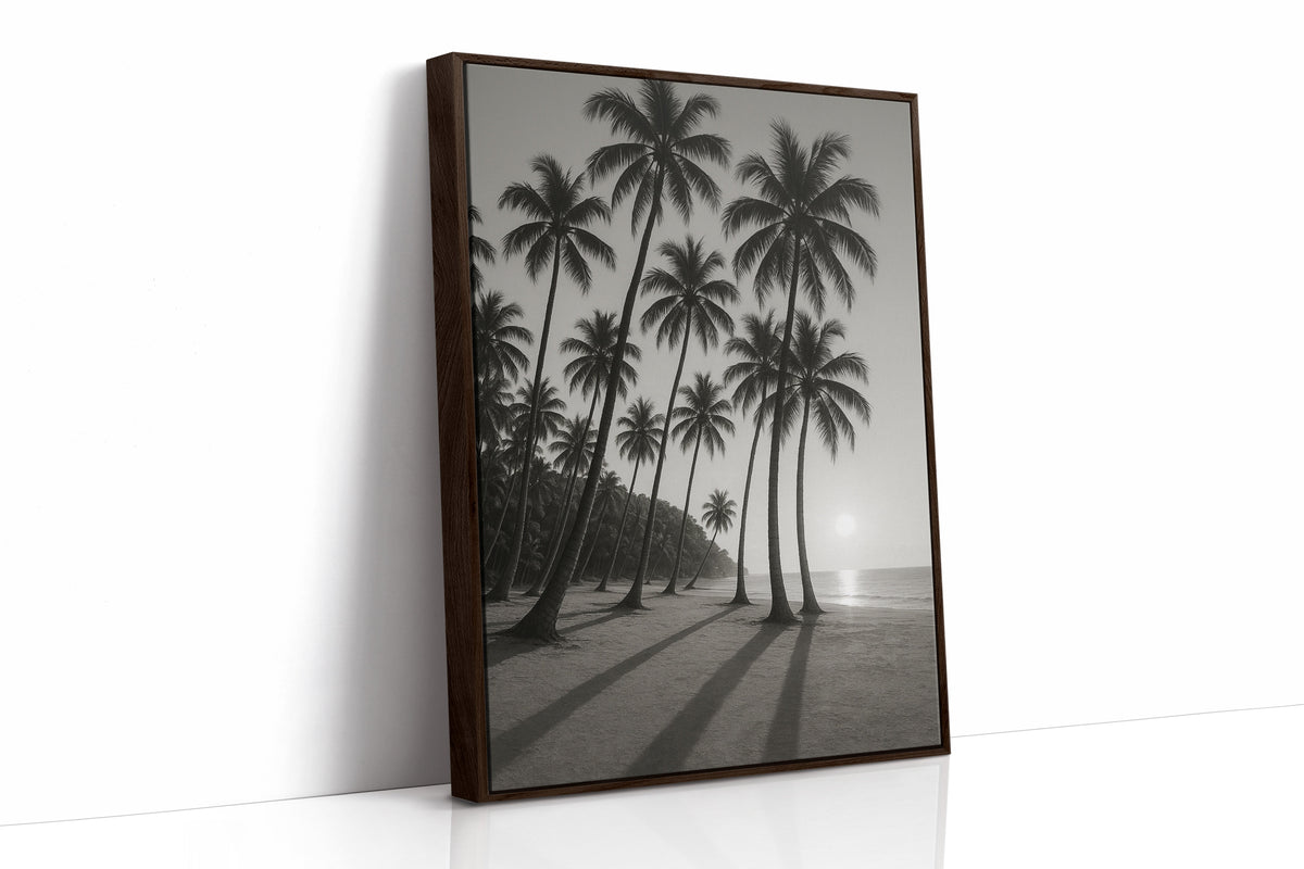 Palm Shadows at Sunrise