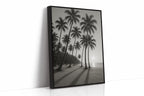 Palm Shadows at Sunrise