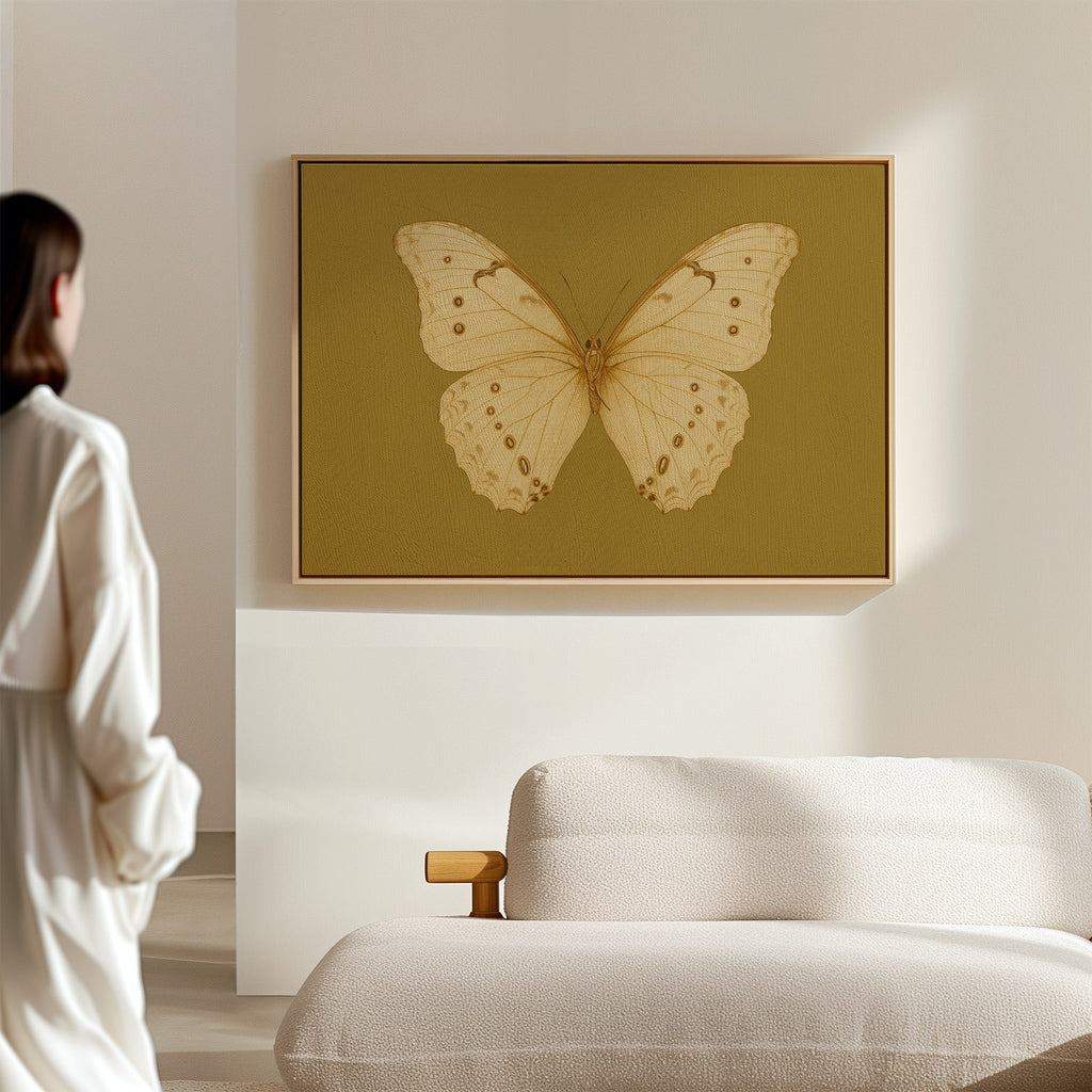 Golden Ivory Butterfly Study