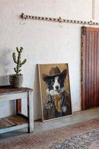 Border Collie Western Marshal
