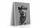 A Canine Cowboy's Quiet Standoff