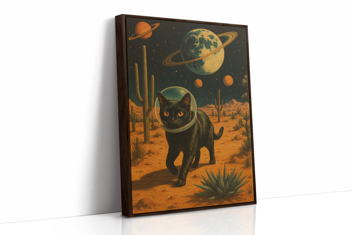 Galactic Drifter – Meow-ter of the Universe