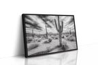 Saguaro Silence in Black and White