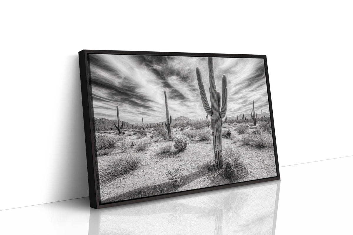 Saguaro Silence in Black and White