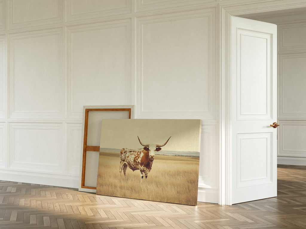 Prairie King: Longhorn on the Plains