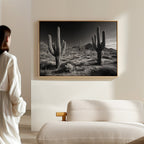 Sentinels of the Sonoran