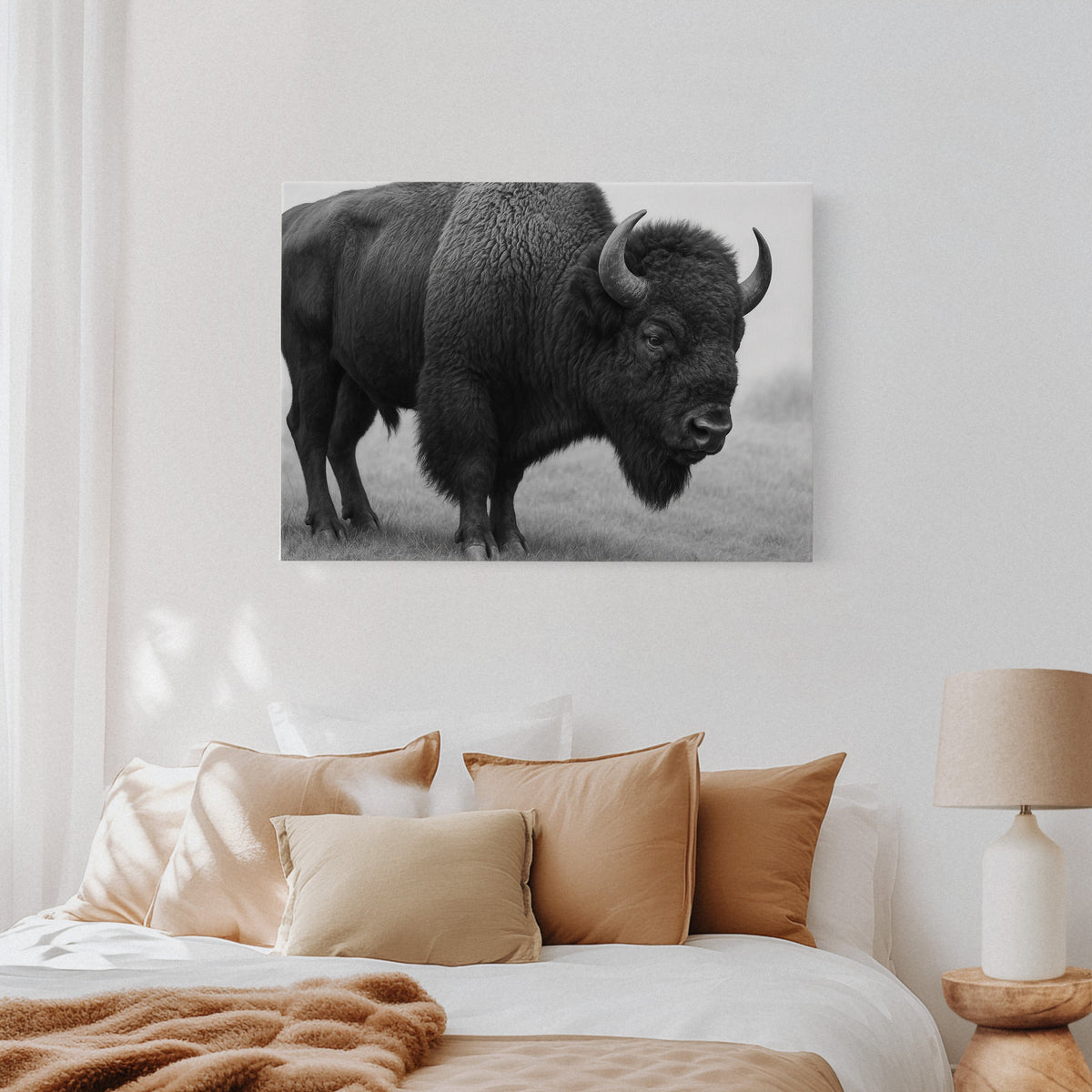American Bison