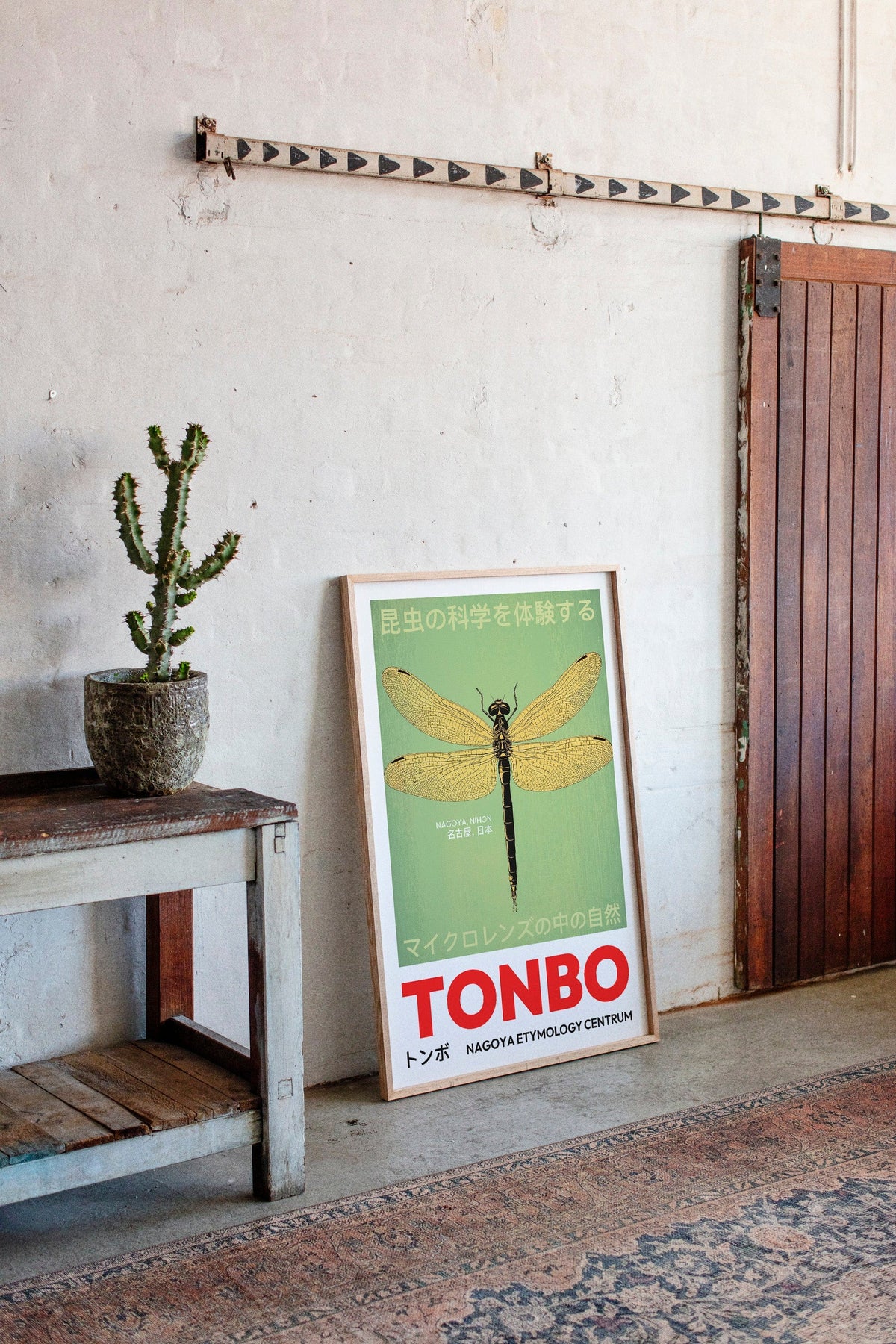 Tonbo – The Science of Dragonflies