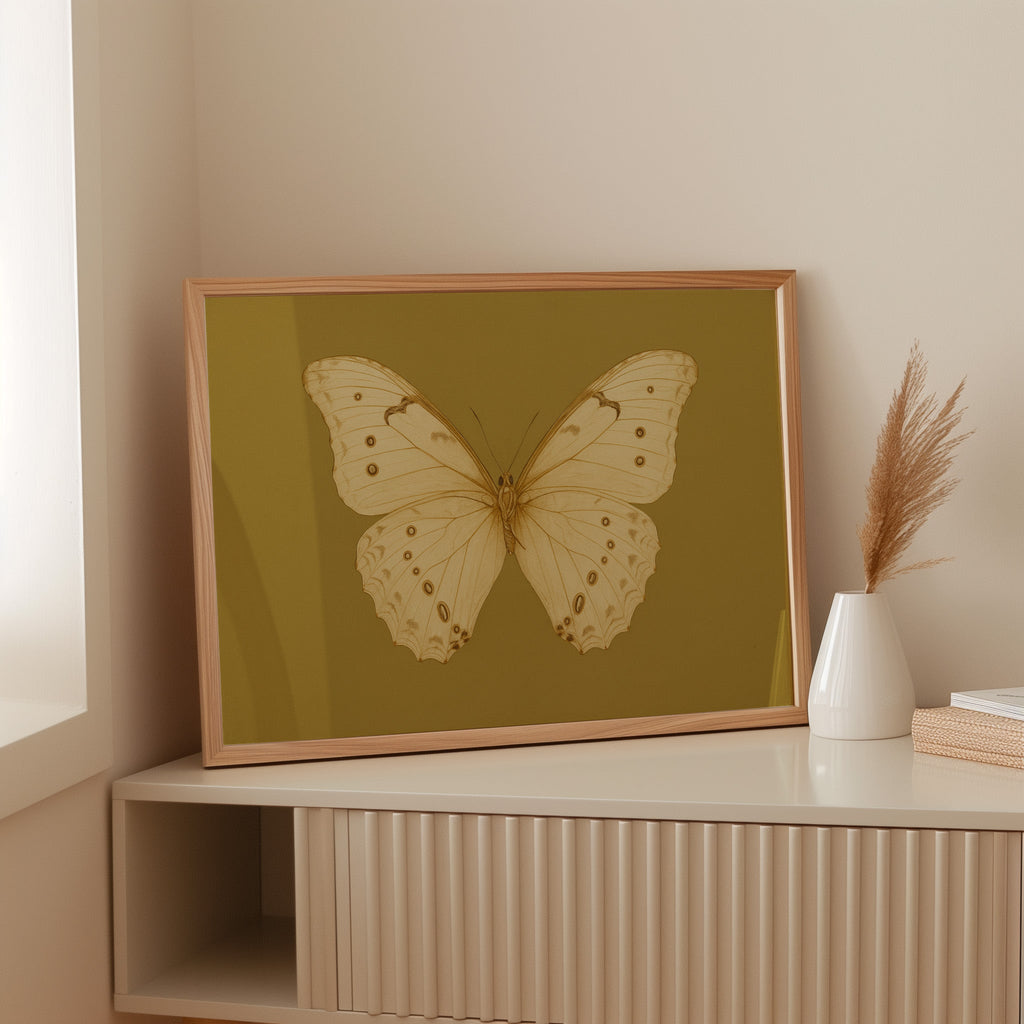 Golden Ivory Butterfly Study