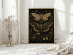 Nocturnal Wings and Wildflower Charms