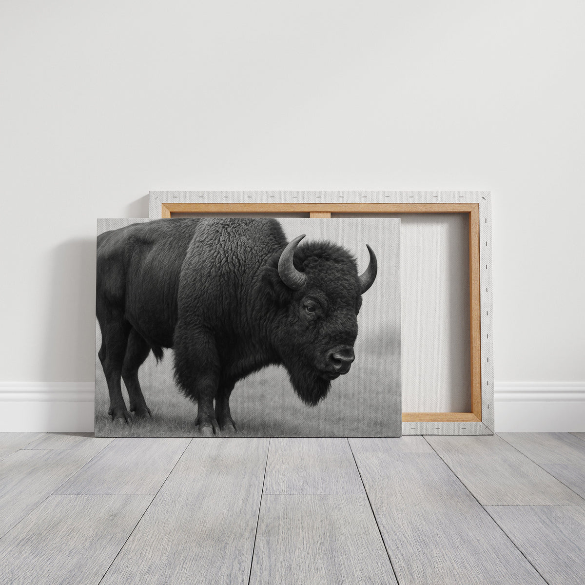 American Bison