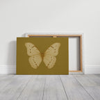 Golden Ivory Butterfly Study