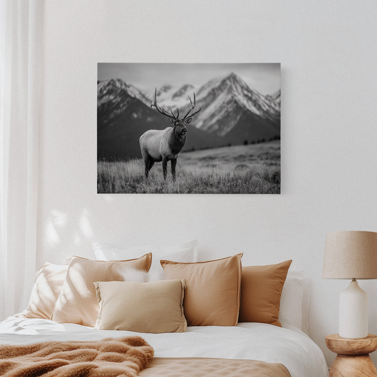 Crown of the Wilderness