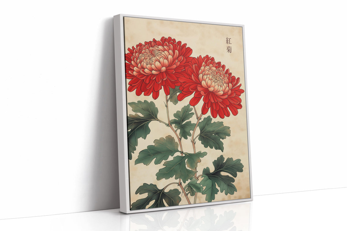 Red Chrysanthemum Elegance